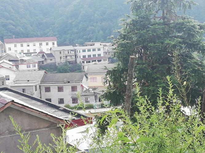 桑植仙辰岛门票?桑植白石乡有多少村-图3 桑植仙辰岛门票?桑植白石乡有多少村-图3