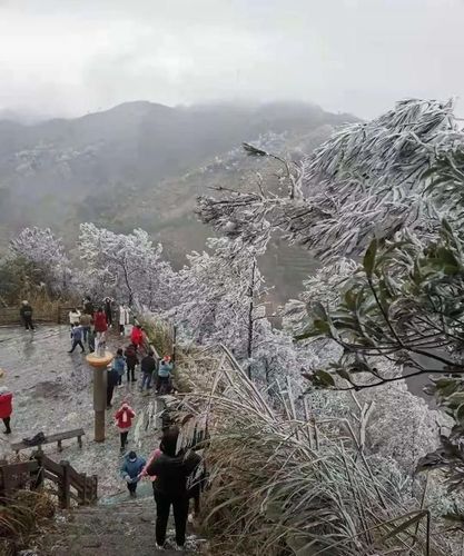 8月爬山最佳地方?今天信宜的温度是多少-图3 8月爬山最佳地方?今天信宜的温度是多少-图3