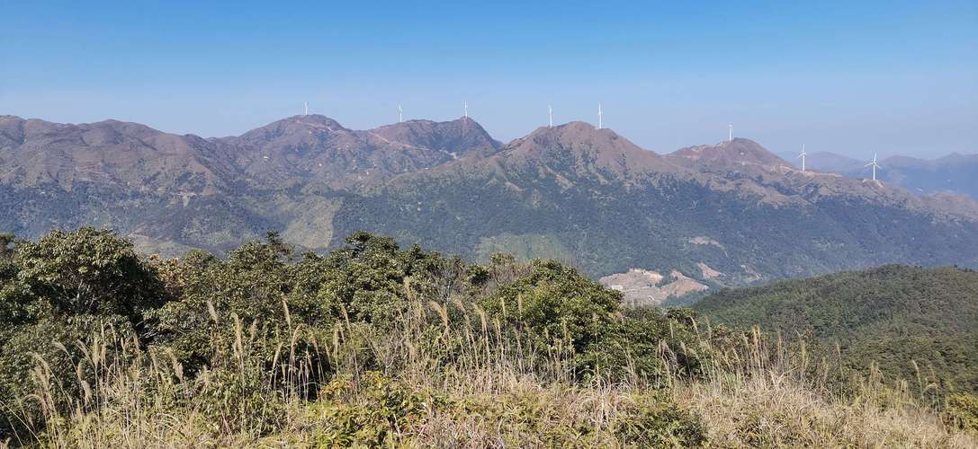 8月爬山最佳地方?今天信宜的温度是多少-图2 8月爬山最佳地方?今天信宜的温度是多少-图2