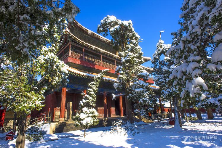 冬天去曲阜旅游合适吗?山东曲阜冬天多少度-图1 冬天去曲阜旅游合适吗?山东曲阜冬天多少度-图1