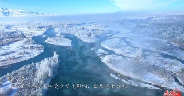 新疆什么时候最冷?新疆伊犁11月份多少度-图3 新疆什么时候最冷?新疆伊犁11月份多少度-图3