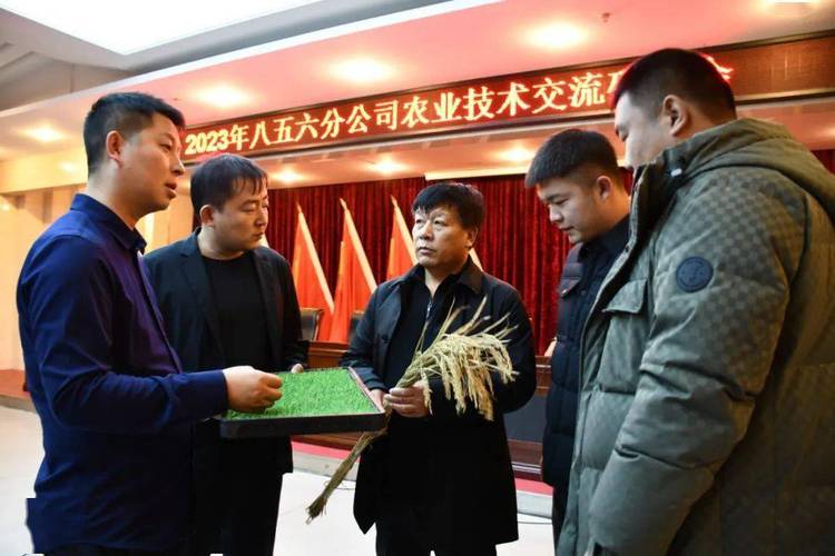 黑龙江省农垦总局下属几个分局(具体名称)?引龙河农场有多少人口-图2 黑龙江省农垦总局下属几个分局(具体名称)?引龙河农场有多少人口-图2
