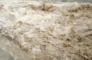 哈尔滨泄洪水流到哪里?98年哈尔滨水位多少钱一个-图1 哈尔滨泄洪水流到哪里?98年哈尔滨水位多少钱一个-图1