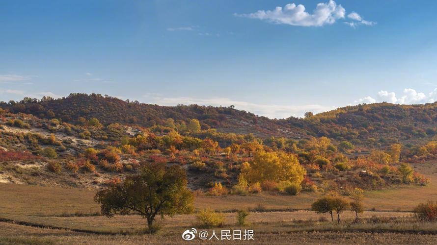9月下旬的坝上草原怎样?9月底坝上草原多少度-图1 9月下旬的坝上草原怎样?9月底坝上草原多少度-图1