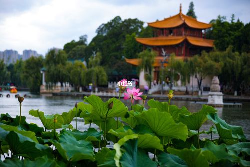 昆明的夏天什么特点?昆明夏季多少度-图1 昆明的夏天什么特点?昆明夏季多少度-图1
