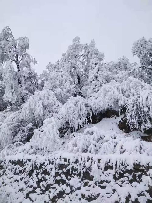 2021年11月广东省哪里有雪？贵阳11月份多少度-图3