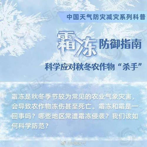 一般多少度才会结霜?霜冻的温度是多少-图1 一般多少度才会结霜?霜冻的温度是多少-图1