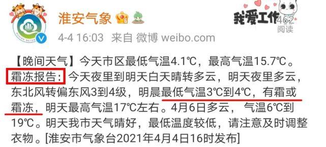 起霜的温度是几度?霜冻的温度是多少钱-图2 起霜的温度是几度?霜冻的温度是多少钱-图2