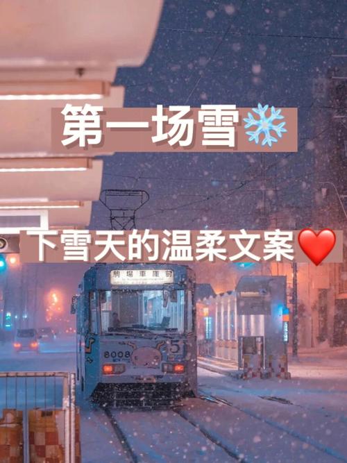 2023北京第一场雪文案?1月北京温度是多少-图2 2023北京第一场雪文案?1月北京温度是多少-图2