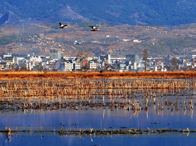 威宁避暑包吃住多少钱一月?威宁最高气温是多少度-图2 威宁避暑包吃住多少钱一月?威宁最高气温是多少度-图2