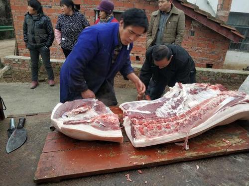 专门卖农村土猪肉有前途吗?温以1到岳西有多少里路-图1 专门卖农村土猪肉有前途吗?温以1到岳西有多少里路-图1