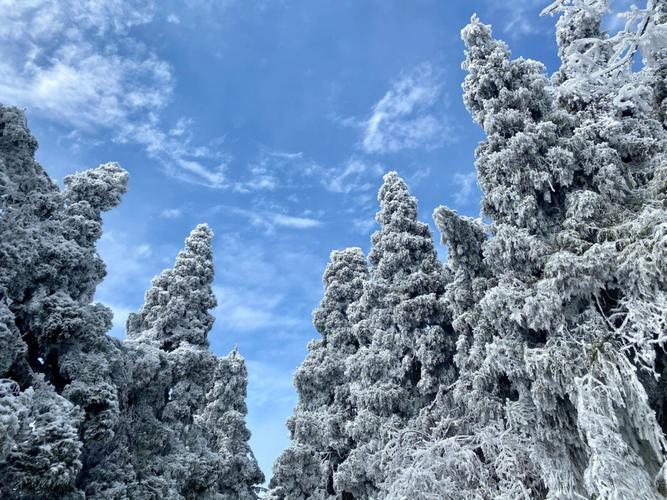 衡山10度有雾凇吗？湖南南岳衡山温度多少-图1
