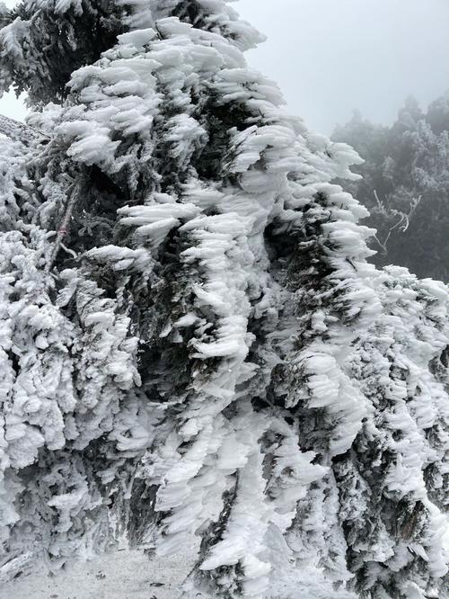 衡山10度有雾凇吗？湖南南岳衡山温度多少-图3