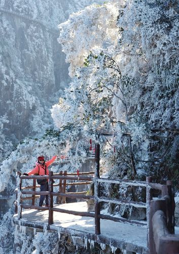 郴州莽山什么时候下雪?湖南莽山温度多少-图1 郴州莽山什么时候下雪?湖南莽山温度多少-图1