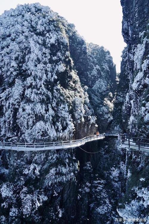 郴州莽山什么时候下雪?湖南莽山温度多少-图2 郴州莽山什么时候下雪?湖南莽山温度多少-图2