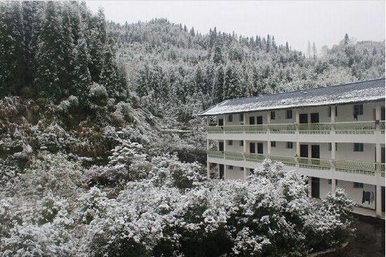 七里坪什么时候下雪?七里坪是多少度-图3 七里坪什么时候下雪?七里坪是多少度-图3