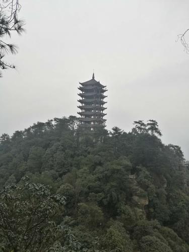 缙云山旅游景点的门票是多少?赤多乡最高海拨是多少-图3 缙云山旅游景点的门票是多少?赤多乡最高海拨是多少-图3