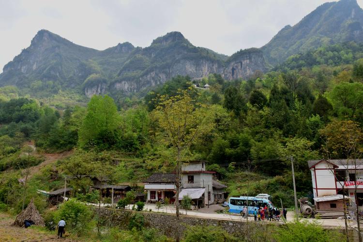 宁强瓢儿产地?宁强距巴山镇多少公里-图2 宁强瓢儿产地?宁强距巴山镇多少公里-图2