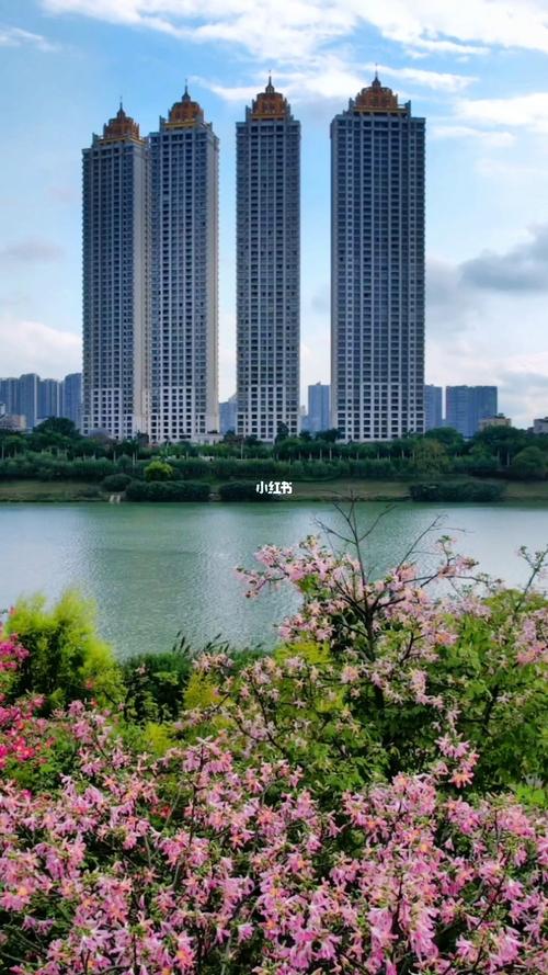 南宁四季如春吗?南宁夏天最高温度多少-图3 南宁四季如春吗?南宁夏天最高温度多少-图3