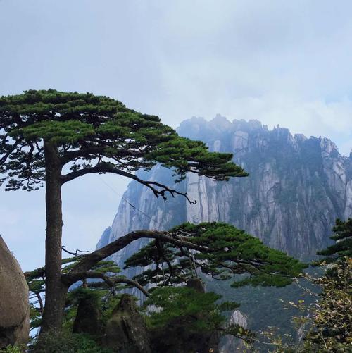 黄山山顶和山下温度相差多少?黄山山上的温度多少-图2 黄山山顶和山下温度相差多少?黄山山上的温度多少-图2