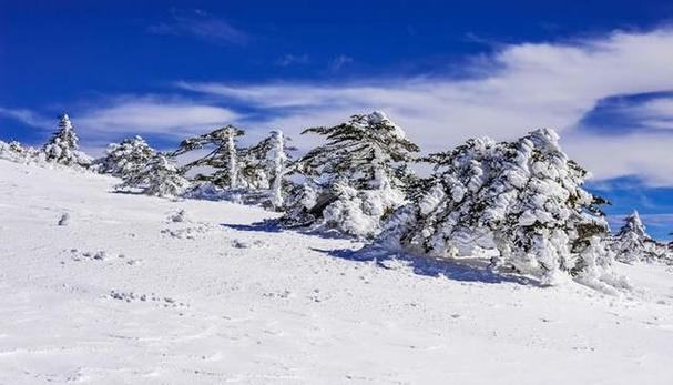 哪座雪山温度最低?昆明雪山多少度-图2 哪座雪山温度最低?昆明雪山多少度-图2