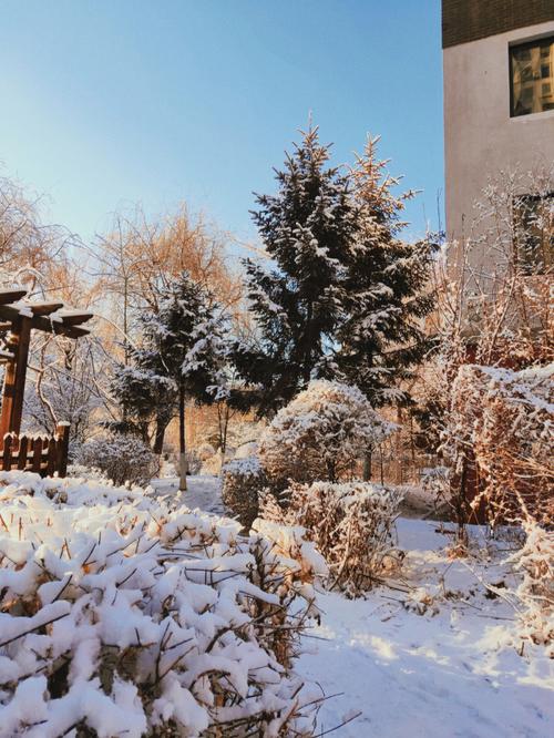 铁岭什么时候下雪啊求?铁岭冬天多少度-图1 铁岭什么时候下雪啊求?铁岭冬天多少度-图1