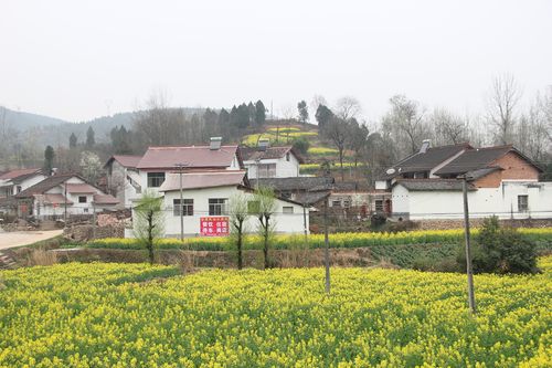 湘水一城海拔高度?南郑湘水镇海拔是多少-图3 湘水一城海拔高度?南郑湘水镇海拔是多少-图3