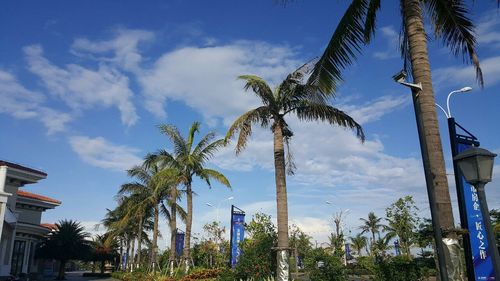 海花岛冬季温度?海南白马井气温多少-图2 海花岛冬季温度?海南白马井气温多少-图2