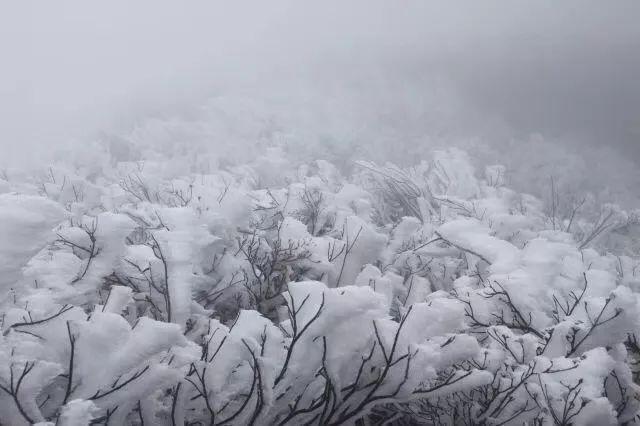 2023清远12月份下雪吗?清远的冬天最冷多少度-图2 2023清远12月份下雪吗?清远的冬天最冷多少度-图2