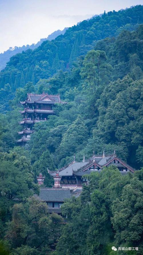 青城山8月热不?都江堰湿度多少-图3 青城山8月热不?都江堰湿度多少-图3