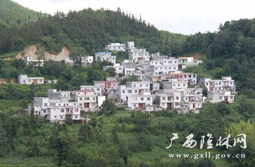 隆林隆式种姜方法?隆林到隆或乡多少公里-图2 隆林隆式种姜方法?隆林到隆或乡多少公里-图2