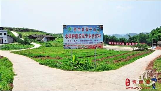 威远县有哪些镇?威远靖和镇有多少个村-图2 威远县有哪些镇?威远靖和镇有多少个村-图2