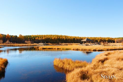 双辽旅游攻略必去景点?双辽到双山多少时间-图3 双辽旅游攻略必去景点?双辽到双山多少时间-图3
