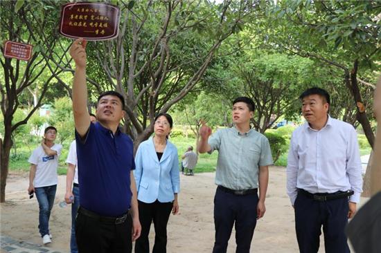 太康县有多少个乡镇?太康马头镇古代有多少官员-图1 太康县有多少个乡镇?太康马头镇古代有多少官员-图1