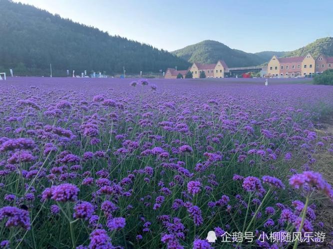 合水花溪谷景区?合水县到太白镇多少公里-图1 合水花溪谷景区?合水县到太白镇多少公里-图1