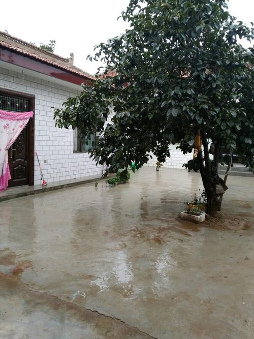 宁县有多少个乡镇?宁县新庄镇房价多少-图1 宁县有多少个乡镇?宁县新庄镇房价多少-图1