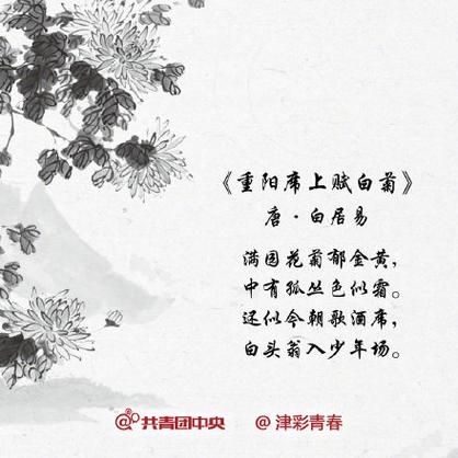 有关祝贺病愈康复的诗词有哪些?祝愿康复的花多少朵-图3 有关祝贺病愈康复的诗词有哪些?祝愿康复的花多少朵-图3