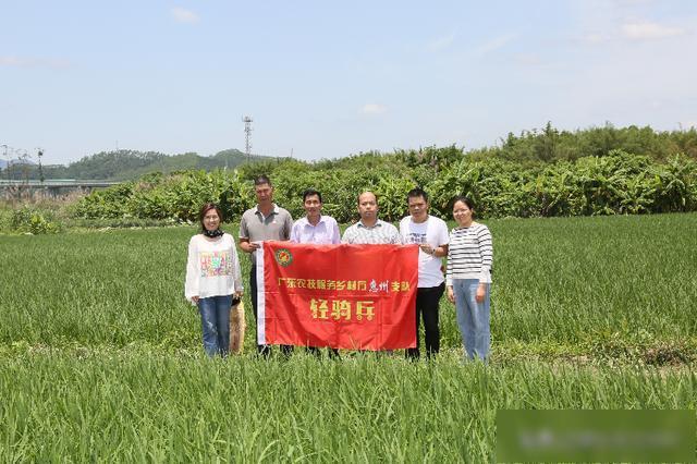 平江县有27个乡镇,每个乡镇有多少个村,多少个生产组?铁石乡有多少人口-图2 平江县有27个乡镇,每个乡镇有多少个村,多少个生产组?铁石乡有多少人口-图2