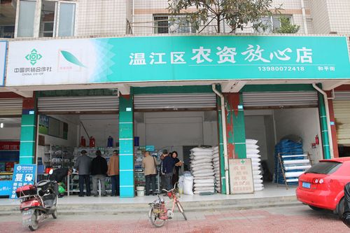 薇汀属于什么档次?成都始建镇农资店有多少家-图1 薇汀属于什么档次?成都始建镇农资店有多少家-图1