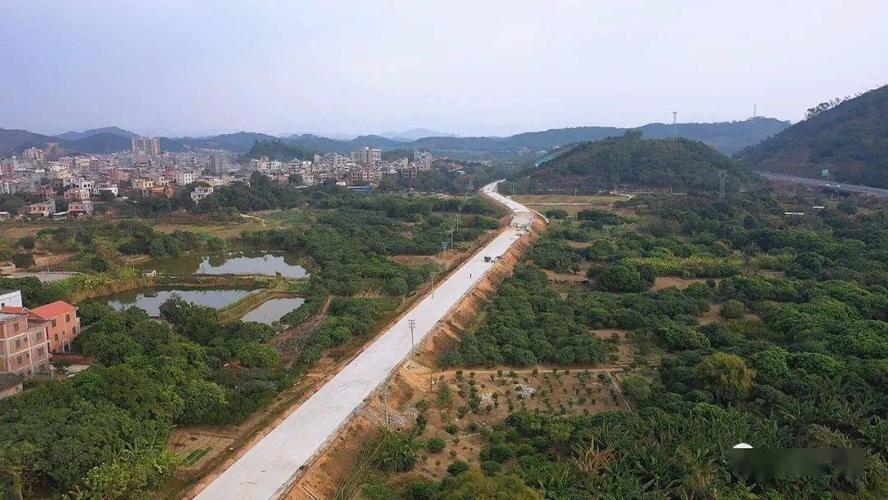 高州古丁桔介绍?古丁镇离高州多少公里-图2 高州古丁桔介绍?古丁镇离高州多少公里-图2
