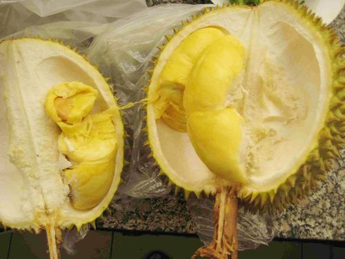 海南本地的榴莲卖的贵不贵?三亚市的榴莲多少钱-图3 海南本地的榴莲卖的贵不贵?三亚市的榴莲多少钱-图3