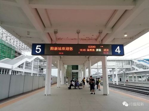 g2295高铁经过哪些站?阳新到枫林镇多少公里-图3 g2295高铁经过哪些站?阳新到枫林镇多少公里-图3