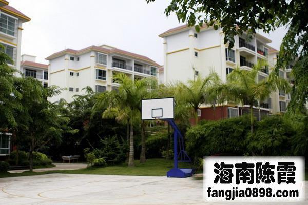 保亭三道农场离乐东九所镇,多远?保亭三道镇房价多少钱一平方-图3 保亭三道农场离乐东九所镇,多远?保亭三道镇房价多少钱一平方-图3