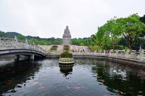 佛山西江哪个地方放生的人多?佛山西樵山居民房值多少钱-图3 佛山西江哪个地方放生的人多?佛山西樵山居民房值多少钱-图3