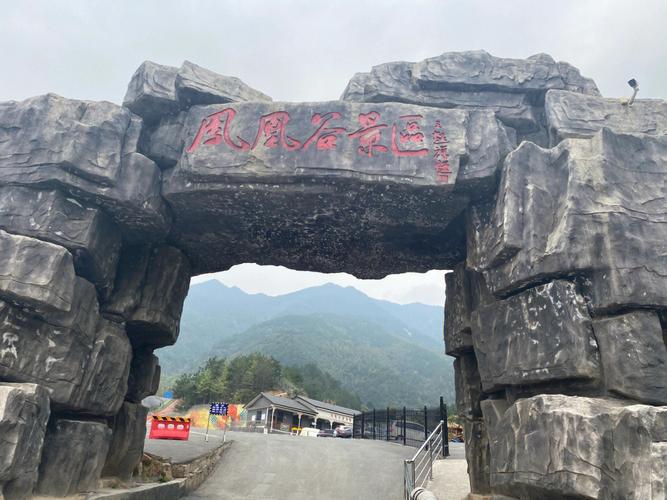 凤凰谷里门票?五龙到师宗客车多少小时-图2 凤凰谷里门票?五龙到师宗客车多少小时-图2