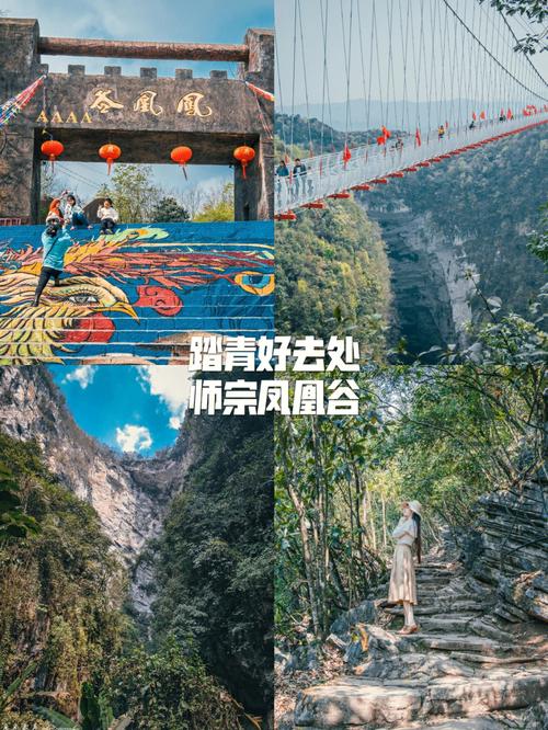 凤凰谷里门票?五龙到师宗客车多少小时-图1 凤凰谷里门票?五龙到师宗客车多少小时-图1
