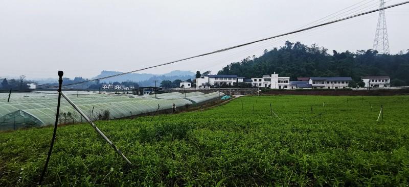 铜梁的十大特产?铜梁区二坪镇有多少人口-图1 铜梁的十大特产?铜梁区二坪镇有多少人口-图1