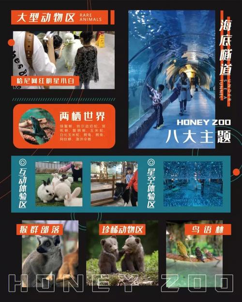 武汉10大儿童室内游乐场？哈尔滨哈尼动物园门票多少钱-图3