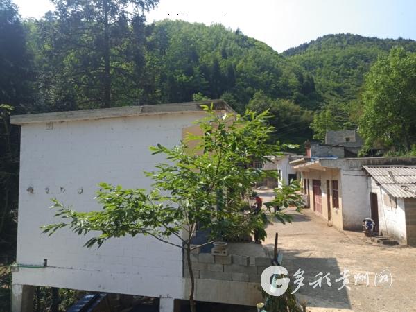 贵州省纳雍县龙场镇简介?毕节到纳雍县龙场镇多少公里-图3 贵州省纳雍县龙场镇简介?毕节到纳雍县龙场镇多少公里-图3