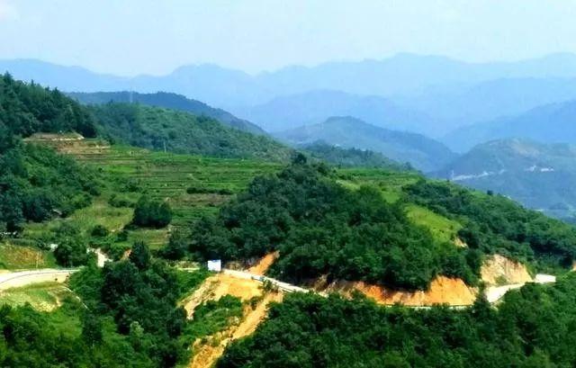 陕西省汉中洋县市有那些风景区?金水到桑溪打的多少-图1 陕西省汉中洋县市有那些风景区?金水到桑溪打的多少-图1